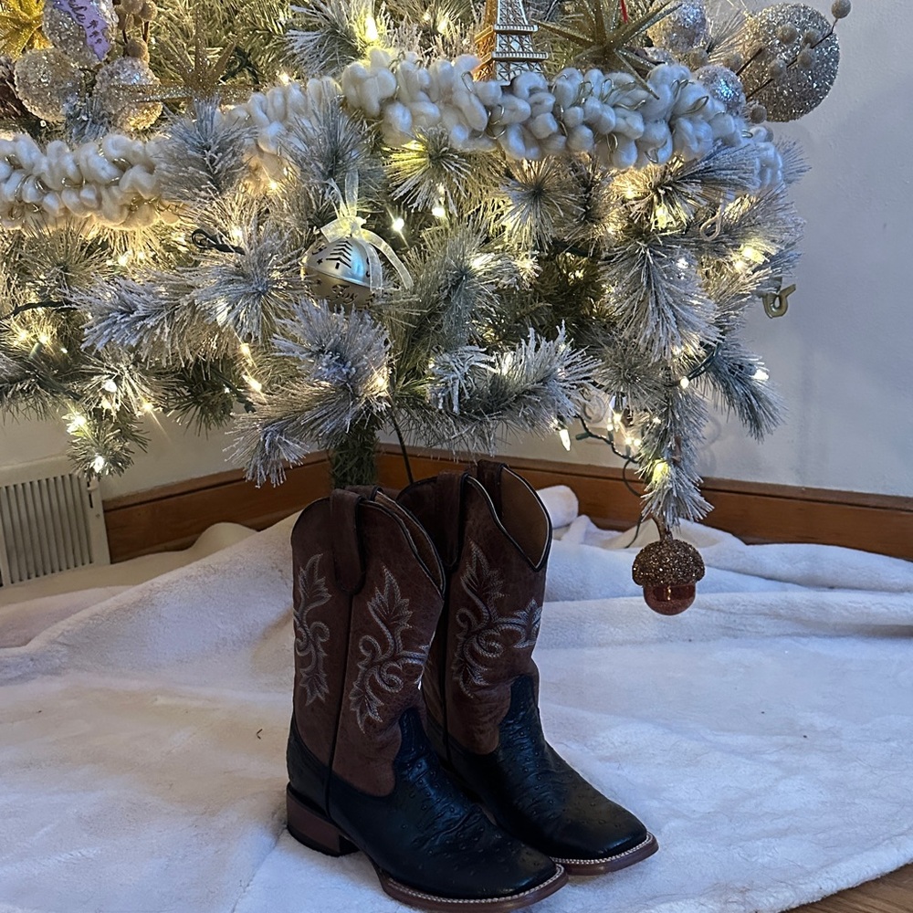 Tanner Mark Brown and Black Western Boots